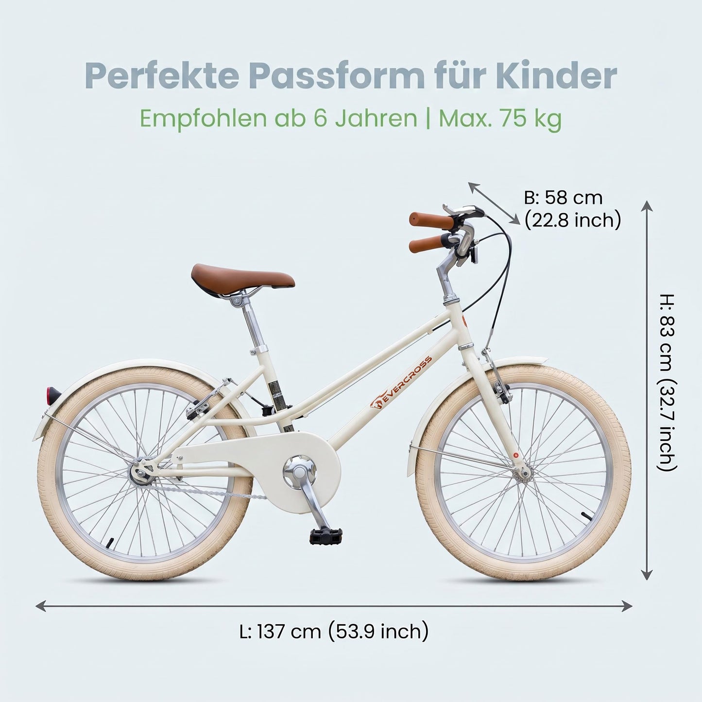 EVERCROSS EM2 20-Inch Kids Bike, Retro Bicycle for Children Ages 6+