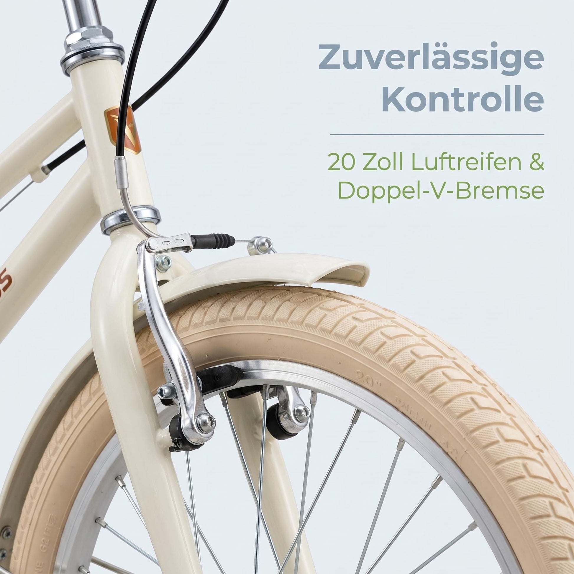 EVERCROSS EM2 20-Inch Kids Bike, Retro Bicycle for Children Ages 6+