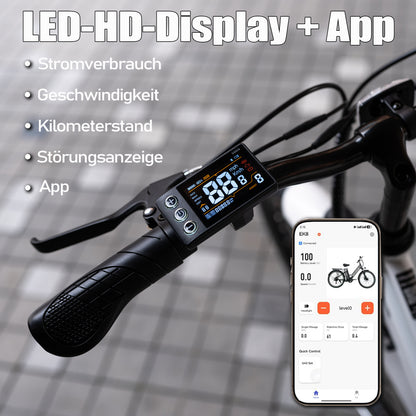 Bicicleta eléctrica EVERCROSS EK8