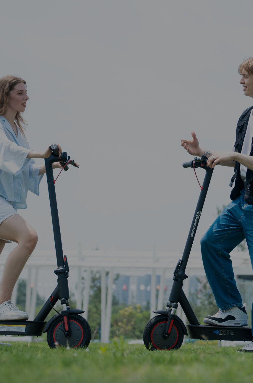 banner-image-template--25525499822457__collection_banner_P44gQE